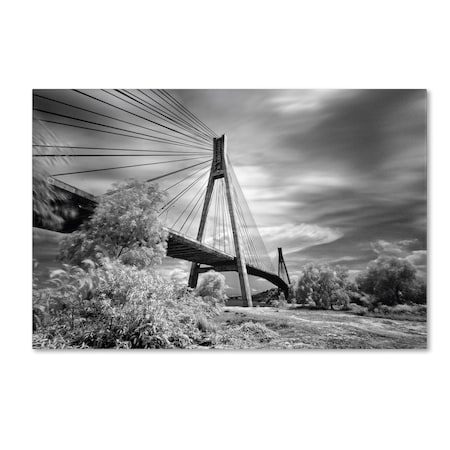 Trademark Fine Art Michael de Guzman 'First Link' Canvas Art, 22x32 ALI0280-C2232GG